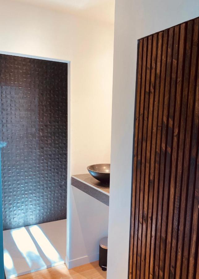 Superbe Grande Maison - Amis - Familles - Entreprises Toulouse Ngoại thất bức ảnh